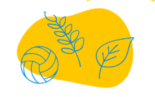 Ilustração de livro